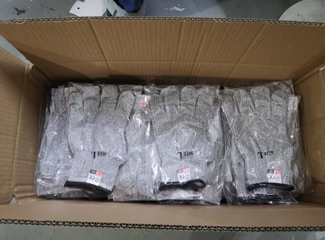 11D290FA-B712-415B-B393-B2ECF14E6B11(20191113-153