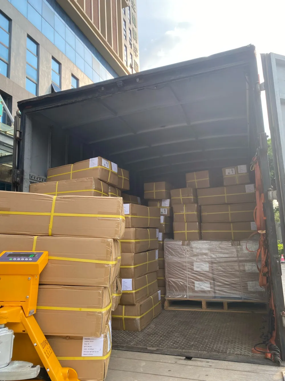 glove shipment glove shipment